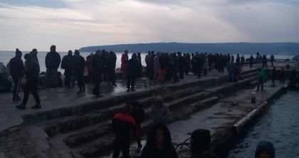 "Петел" предава от брега: 80 смелчаци се готвят да скочат в ледените води във Варна - най-възрастният е на 74, а най-младият...