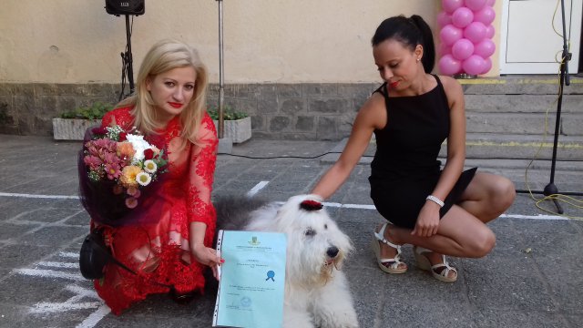 Зарадваха кучето Мон с почетна грамота