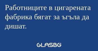 Работниците в цигарената фабрика...