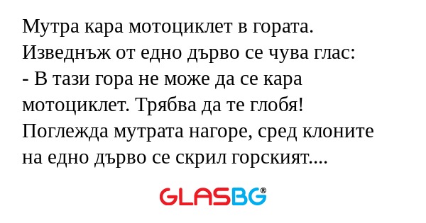 Мутра кара мотоциклет в гората...