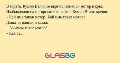 В гората. Кумчо Вълчо се върти...