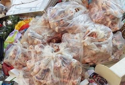Отврат! Гнусна гледка край оградите на пловдивско училище и забавачка (СНИМКИ)