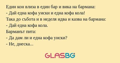 Един кон влиза в един бар и вика...