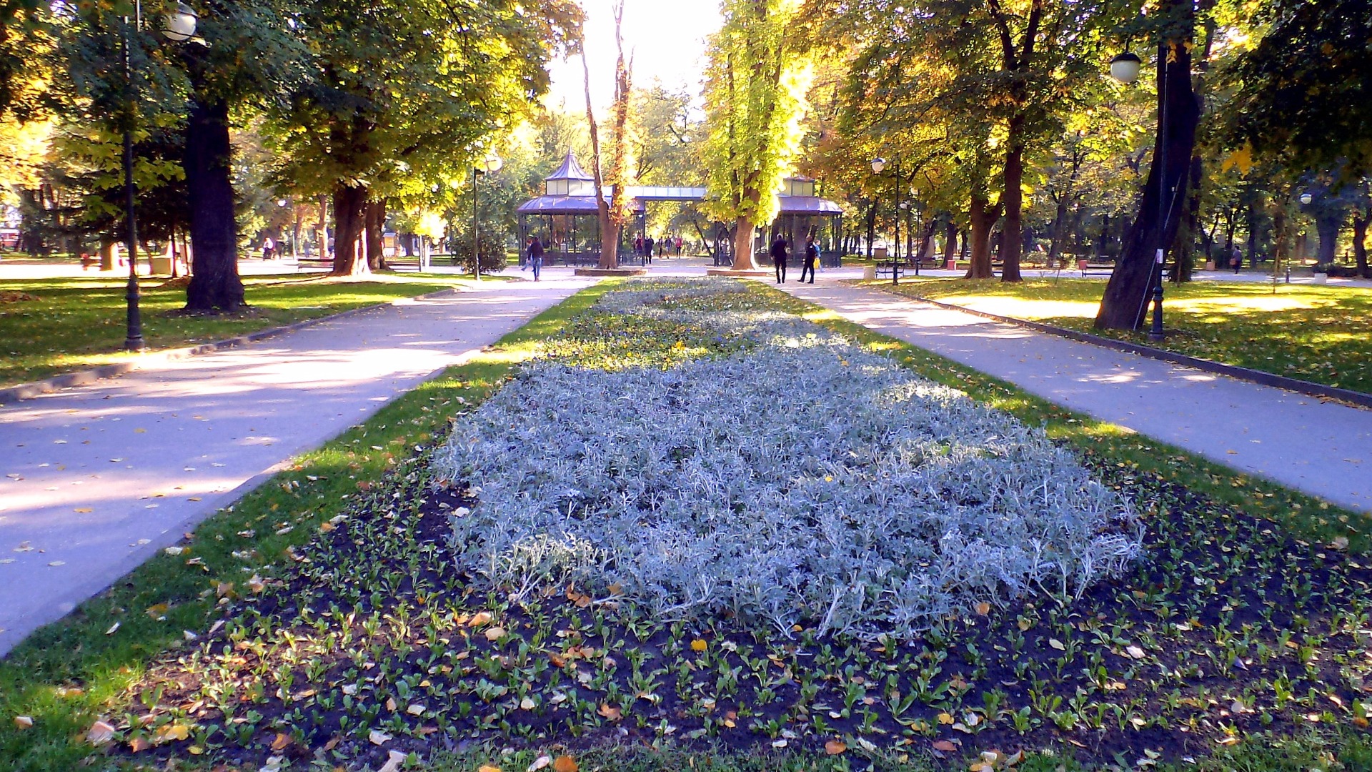 Засаждат 1 милион есенни цветя в Пловдив
