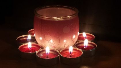 Всяка стая у дома иска различен аромат