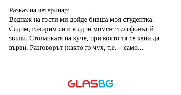 Разказ на ветеринар: Веднаж на...