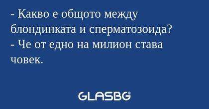 Какво е общото между блондинката...