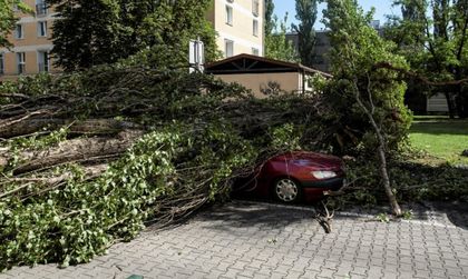 Четири жертви на ураганни бури в Полша