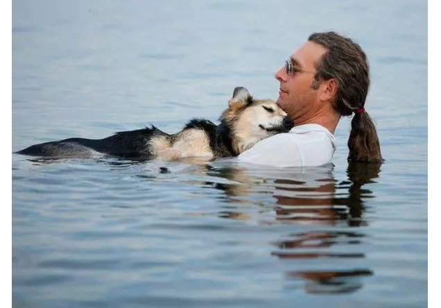 Мъж всеки ден носи болното си куче до езеро, за да поспи