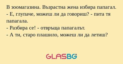 В зоомагазина. Възрастна жена избира...