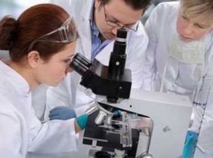 Американски учени създадоха изкуствен мозък от стволови клетки