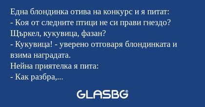 Една блондинка отива на конкурс...