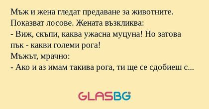 Мъж и жена гледат предаване за...