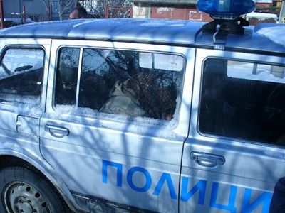 Удушвачката на бабата от Дълбок извор с 6 присъди, очакват я от 15 до 20 години или доживотен затвор
