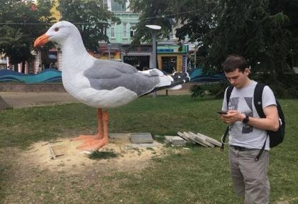 В Бургас беснеят от проскубан гларус (СНИМКИ)