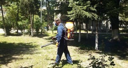 Почти двойно се е увеличил броят на ухапаните от кърлежи във Варна за седмица