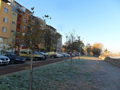 Засадиха над 300 дървета край новите велоалеи в Пловдив
