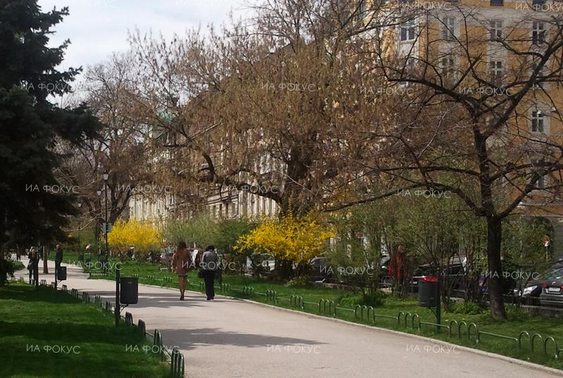 Пловдив: В града започна ново пръскане срещу комари и кърлежи
