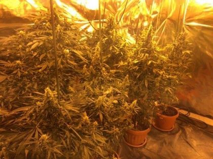 Арестуваха ченге от Пловдив и гаджето му с тайна, огромна нарколаборатория (СНИМКИ)