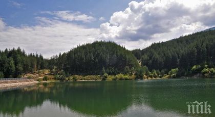 Притеснително! Откриха мъртви животни на 400 метра от водосборната зона на с. Студена