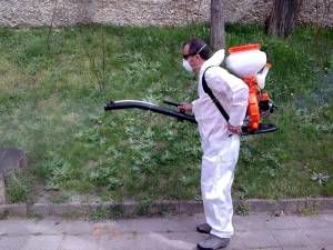 Трепят комари и кърлежи в Пловдив с четвърт милион