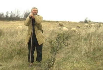 Ново 20: ЕК въвежда още изисквания за хуманно отношение към добитъка, пастирите вече ще са длъжни да ...