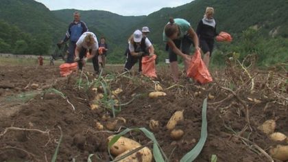 Бачковският манастир продава картофи, за да реставрира църква