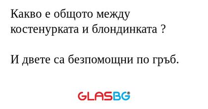 Какво е общото между костенурката...