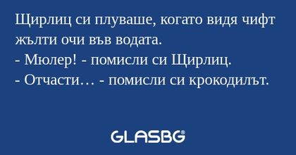 Щирлиц си плуваше, когато видя...