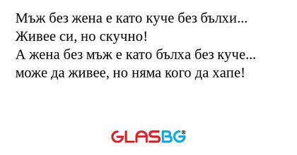 Мъж без жена е като куче без бълхи...