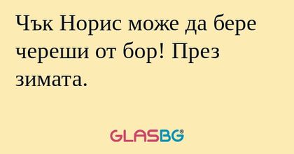 Чък Норис може да бере череши от...