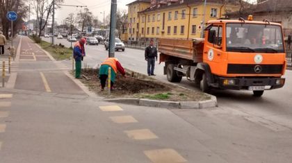 Ето как разкрасяват града с 5000 рози - двама работят, двама ръководят и един ги вози