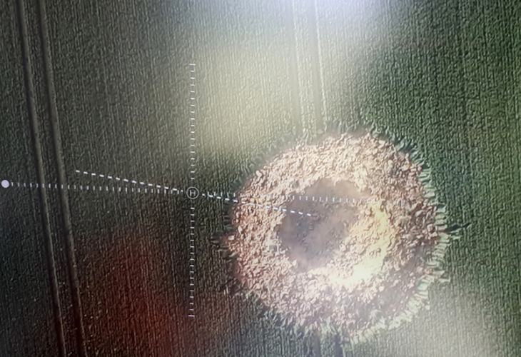 Бомба от Втората световна война избухна в Германия, остави 10 метров кратер (СНИМКА)