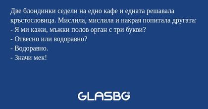 Две блондинки седели на едно кафе...