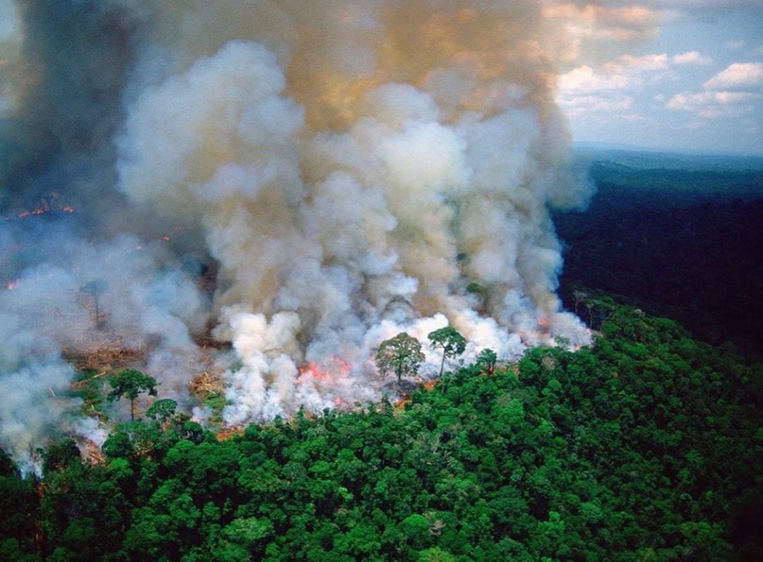 Амазонската джунгла в пламъци! 