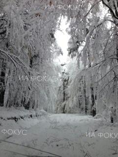 НИМХ: Днес в по-голямата част от Северна България и в планинските райони ще вали сняг, в Южна България и по Черноморието - дъжд