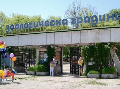 Столичният зоопарк се нуждае от доброволци