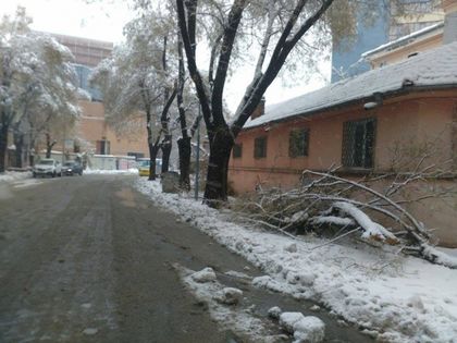 30 см е снежната покривка в Пловдив