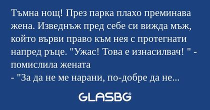 Тъмна нощ! През парка плахо преминава...