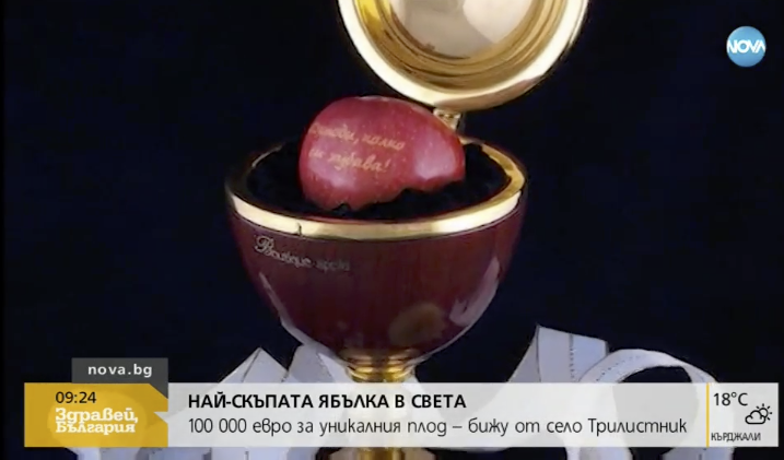 ЗА 100 000 ЕВРО: Най-скъпата ябълка в света расте в Пловдивско
