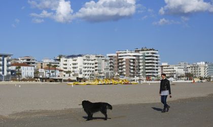 Признаха платен отпуск на италианка, грижила се за болно куче