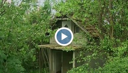 Румънци тарашат вилните зони край Русе
