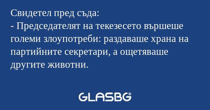 Свидетел пред съда: - Председателят...