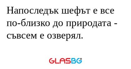 Напоследък шефът е все по-близко...