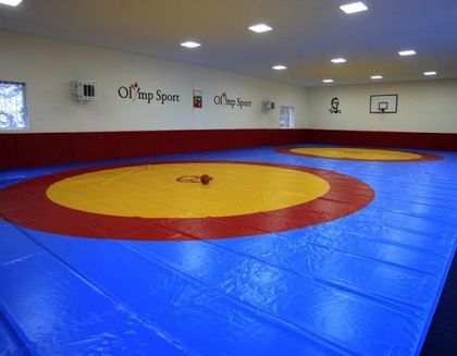 Българин стана треньор на алжирските борци