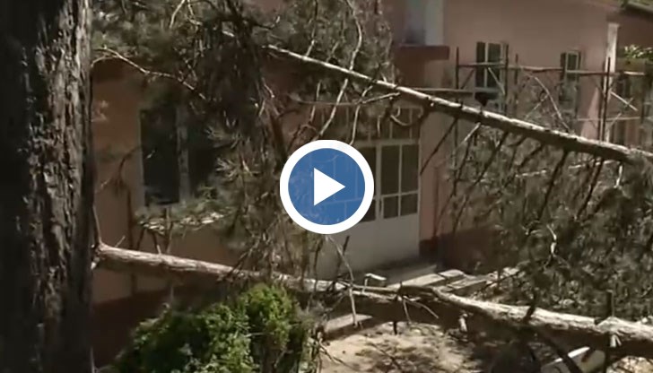 Огромни борове затрупаха детската градина в село Баниска