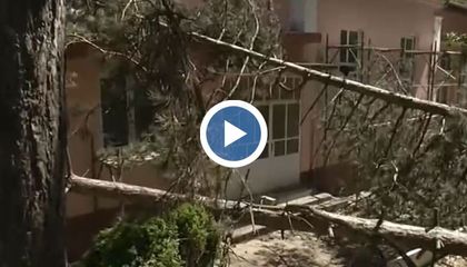 Огромни борове затрупаха детската градина в село Баниска