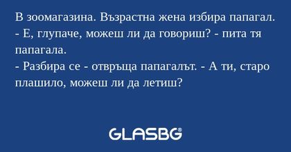 В зоомагазина. Възрастна жена избира...
