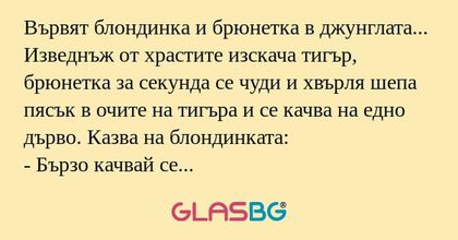 Вървят блондинка и брюнетка в джунглата...