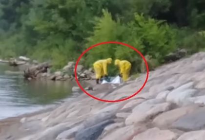 Тайна операция по залавянето на русалка в Минесота! (ВИДЕО)